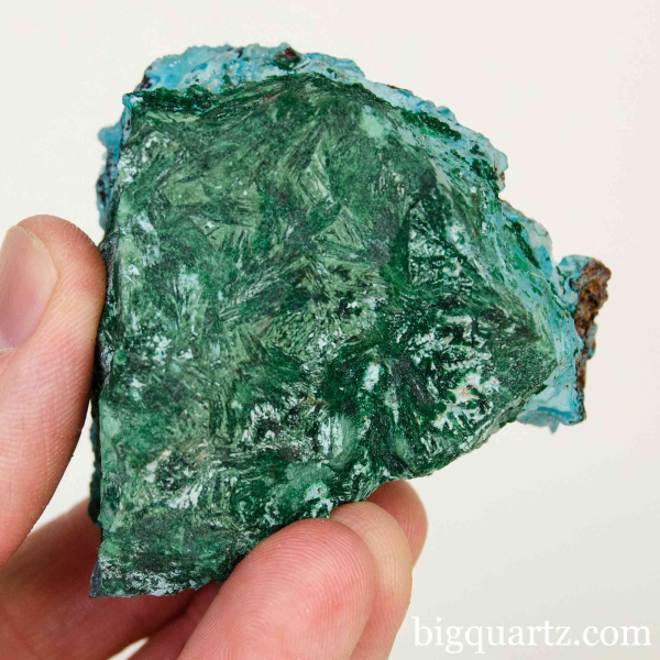 Druzy Chrysocolla Crystal Specimen (Congo #F0241) Natural