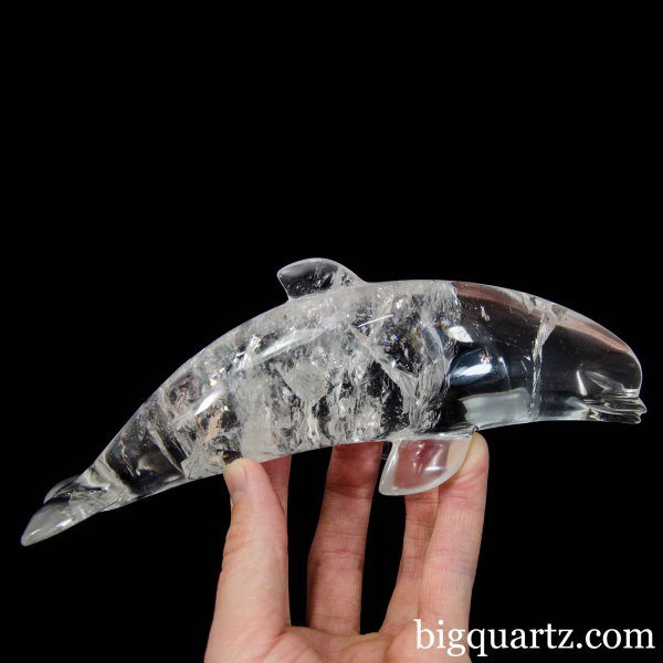 Clear Quartz Dolphin, 7.75 inches (Brazil #G0124) 1.2 Pounds