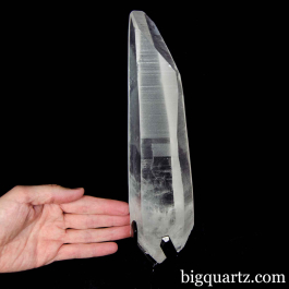 f0655_large_lemurian_seed_clea