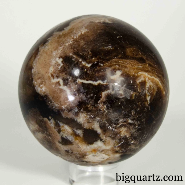 Common black opal deals